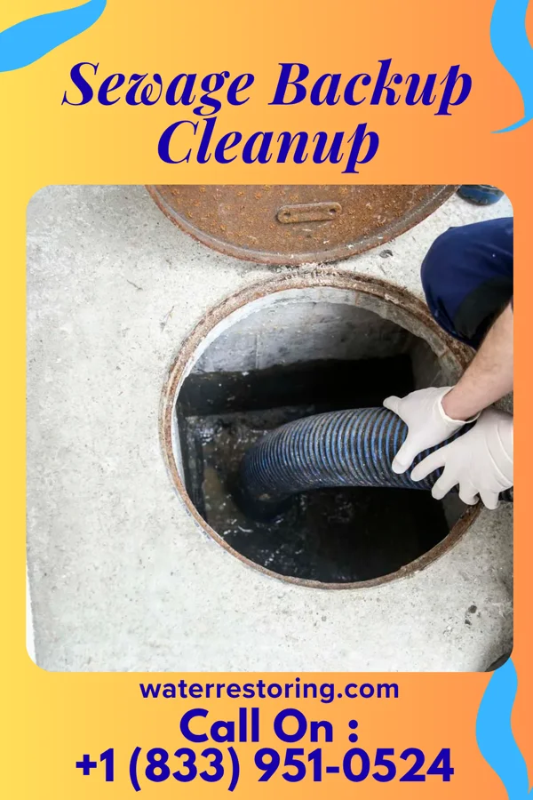 Sewage Backup Cleanup in Old Fort, NC